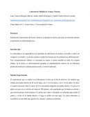 Laboratorio Módulo de Young y Poisson