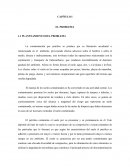UN PLANTEAMIENTO DEL PROBLEMA