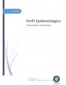 Perfil epidemiologico. Enfermedades En Verano Deshidratación