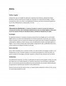 Pesta. Político- Legales