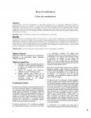 Heat of combustion Calor de combustión