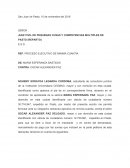 FORMATO DEMANDA EJECUTIVA