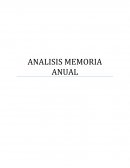 ANALISIS MEMORIA ANUAL