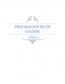 Preparacion de un coloide (mayonesa)