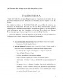 Proceso del Textil Del Valle S.A.