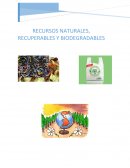RECURSOS NATURALES ¿Qué es un recurso natural?