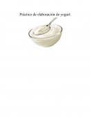 Práctico de elaboración de yogurt