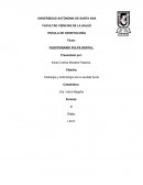 Que e sla Pulpa dentaria