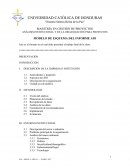 MAESTRÍA EN GESTIÓN DE PROYECTOS ANÁLISIS INSTITUCIONAL Y DE LA ORGANIZACIÓN PARA PROYECTOS