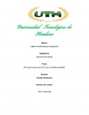 Un Ensayo de desarrollo oganiacional