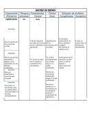Matriz de Riesgo. Riesgos y Fundamentos Control Enfoques de Auditoría