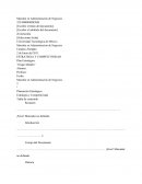 ESTRATEGIA Y COMPETITIVIDAD Plan Estratégico