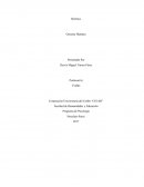 La Conceptualización Y Fundamentación