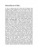 Las Maravillas en el Mar