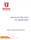 Encapsulado en frío para preparación metalográfica