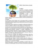 Medio ambiente y sociedad en el mundo