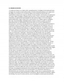 El cerebro de einstein