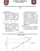 Una reacción de transaminación es la primera etapa de la desasimilación de los aminoácidos