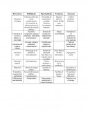 Estructura de servicios públicos y movilidad
