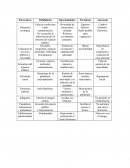 Estructura de servicios públicos y movilidad