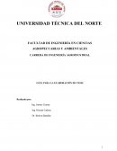 GUÍA PARA LA ELABORACIÓN DE TESIS