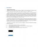 Modelo Vendedor de Diarios