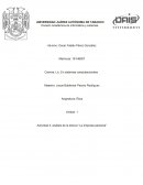 Análisis de la lectura “La empresa personal”