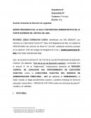 Sumilla: Demanda de Revisión de Legalidad