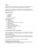 Sintesis de Liderazgo