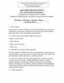 Cuestionario Integrador de Unidad. Unidad 4: Clasificación, estructura y función de los tejidos
