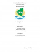 Técnicas de entrevista