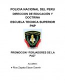 SEGURIDAD CIUDADANA PNP