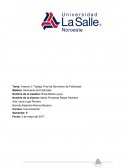 Avance 3: Trabajo Final de Seminario de Publicidad