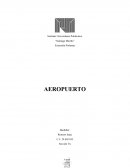 Tipos de precauciones que hay en un aeropuerto