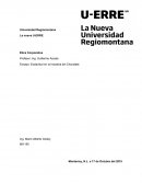 Un Ensayo: Esclavitud en la industria del Chocolate
