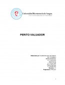 PERITO AVALUADOR