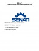 Tema: ANALISIS DE LA PRODUCTIVIDAD CON EL HISTOGRAMA