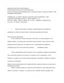 EL DEPARTAMENTO DE EDUCACIÓN ESPECIAL