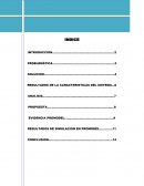 LOS RESULTADOS DE LA CARACTERISTICAS DEL SISTEMA