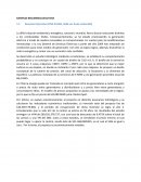 EJEMPLOS RESUMENES EJECUTIVOS