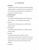 La literatura y su definicion para estudiantes