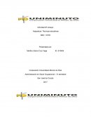 La Administración en Salud Ocupacional – IV semestre