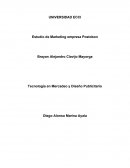 La Tecnología en Mercadeo y Diseño Publicitario