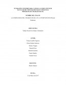 Cual es el Trabajo Social Organizacional