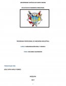 UN PROGRAMA PROFESIONAL DE INGENERIA INDUSTRIAL