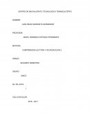 Que es un ensayo y su desarollo