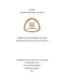 TALLER SEGURUDAD INDUSTRIAL Y DE MINAS