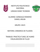 PRACTICA TUNEL DE HUMO VISUALIZACION DE FLUJO