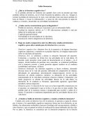 Taller Demencias psicologia