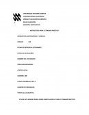 INSTRUCTIVO PARA EL TRABAJO PRÁCTICO - MATEMÁTICAS Y CIENCIAS
